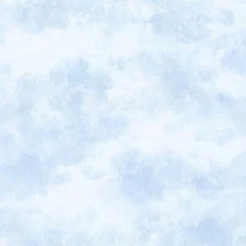 P&B Textiles   Song Birds Digital Clouds Light Blue  ~1/2 Yard ~ 100% Cotton