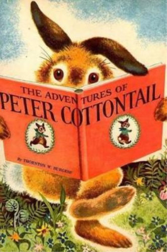 Thornton W Burgess The Adventures Of Peter Cottontail (Paperback) - Picture 1 of 1