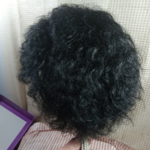 WIG HUMAN HAIR Vivica's Natural Brazilian 100% Remi Pure StretchCap JASPER 1 NIB - Picture 4 of 14