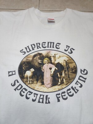 Supreme Is a Special Feeling Tee FW16 White William Strutt Peace