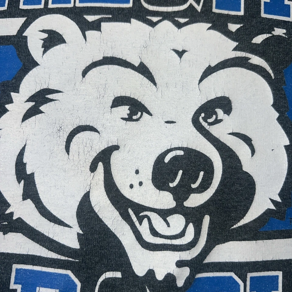 UCLA Bruins Loyal & True Gold & Blue Homecoming 2015 L/S Shirt Medium Vintage - Image 3 of 4