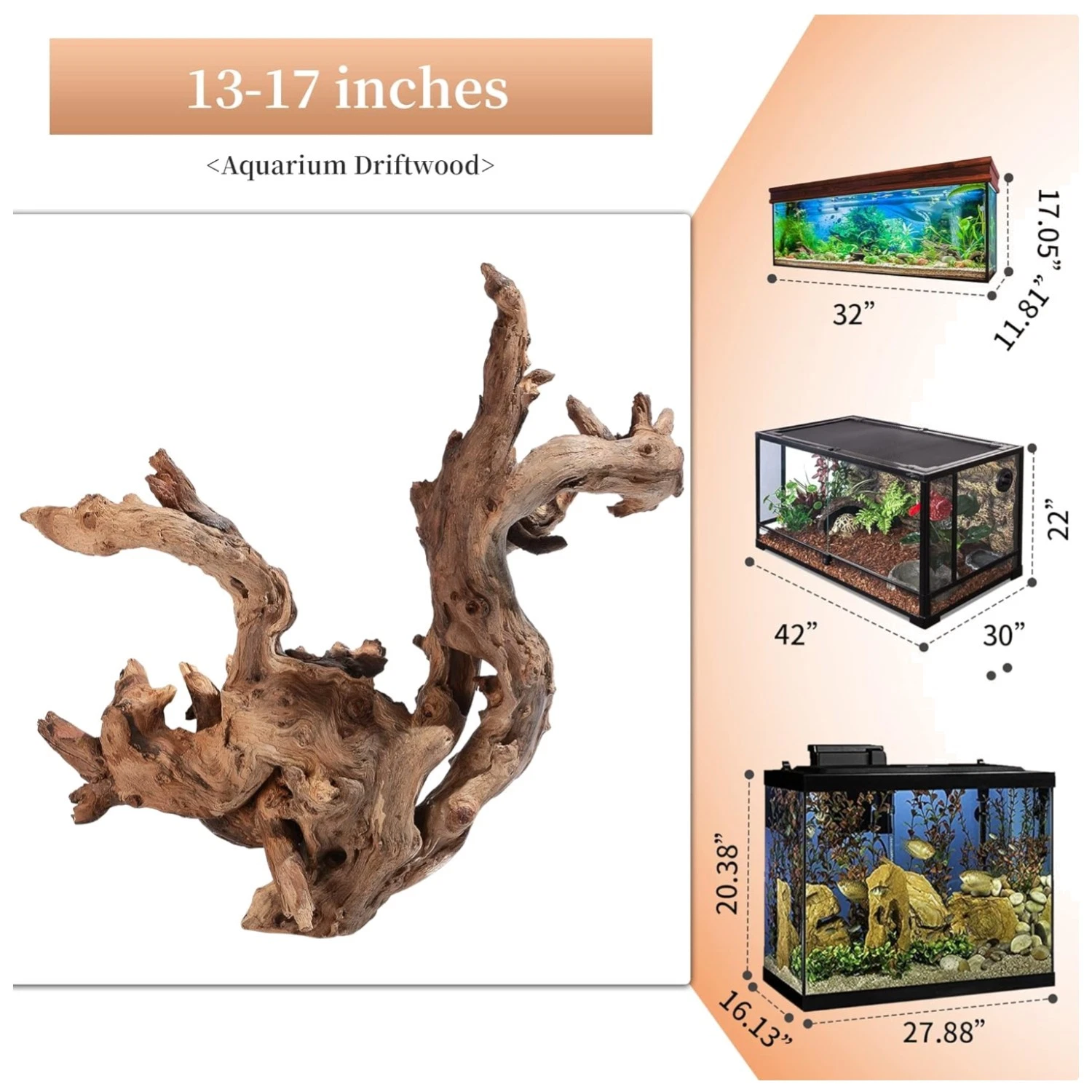 Unique Natural Driftwood Decor for Aquariums & Reptiles//