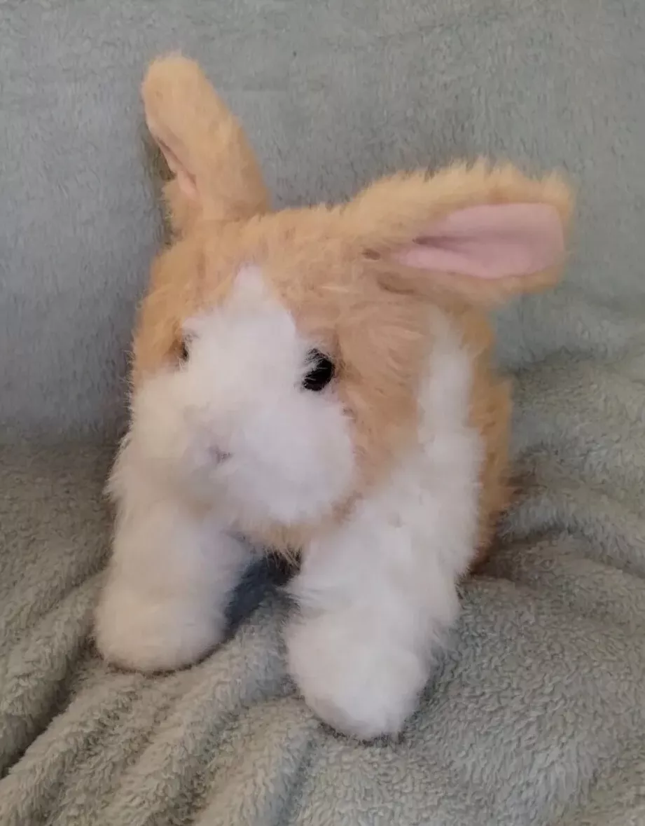 Furreal Friends Hasbro Hop N Cuddle Brown Bunny Rabbit Hopping