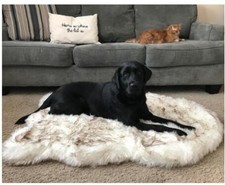 Fluffy Long Plush Pet Blanket for Cats and Dogs Warm Lightweight Everyday Use