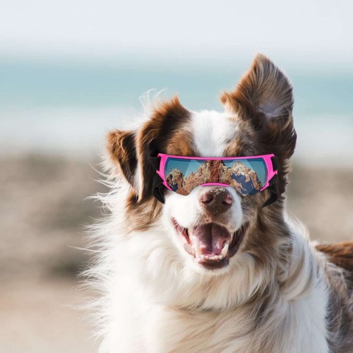 Pet Protection Small Doggles Dog Sunglasses Pet Goggles UV Sun Glasses Eye Wear - Picture 8 of 16