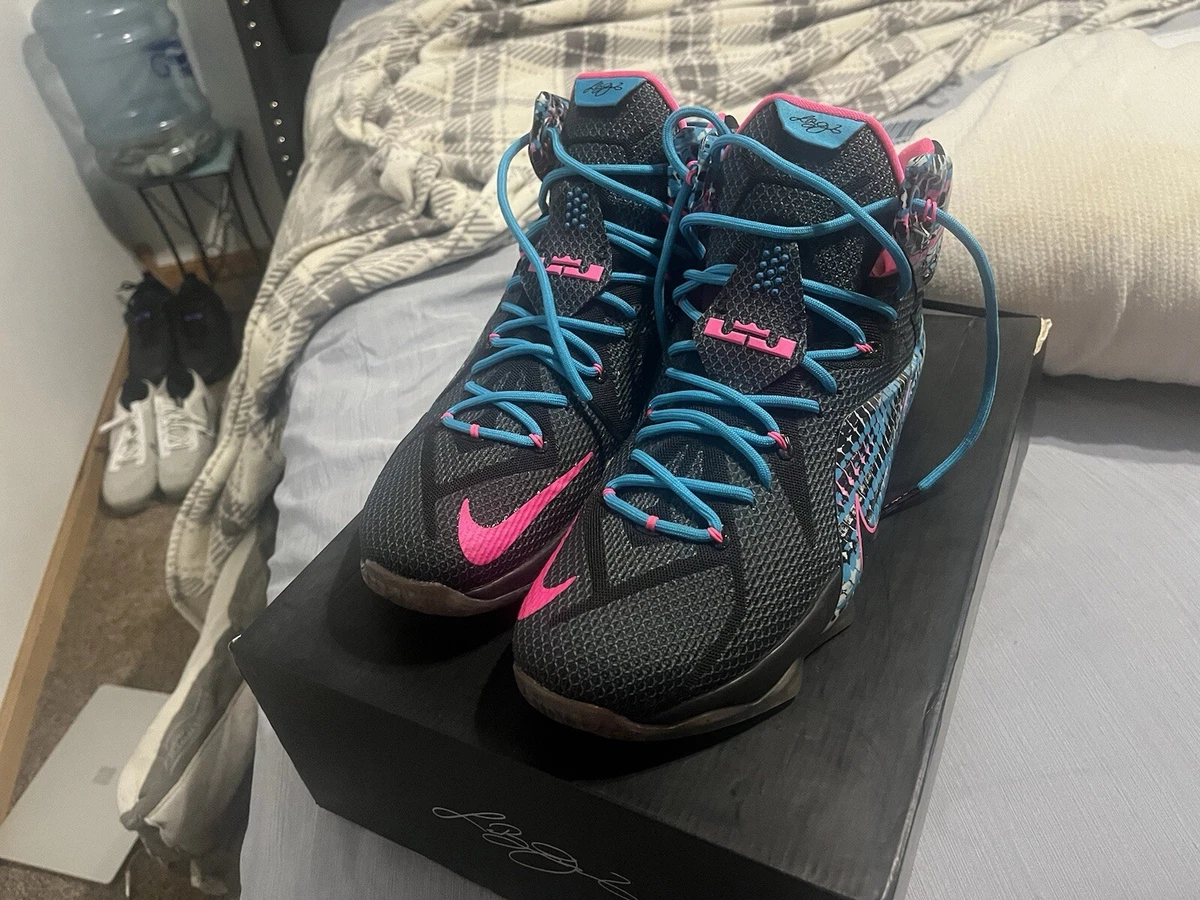 Preços baixos em Nike LeBron 12 23 Chromosomes | eBay