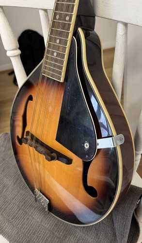 Fender Mandolin FM-100 Musical Instrument Brown 8 String Right Handed - Bild 3 von 11