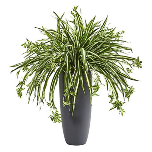 33"" Spider Artificial Plant in Cylinder Planter