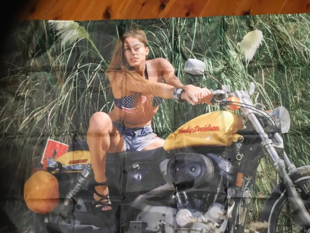 Harley davidson sale man cave decor