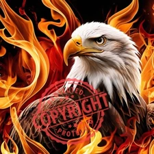 Digital Image Picture Photo Wallpaper Background Desktop Art- BALD EAGLE 