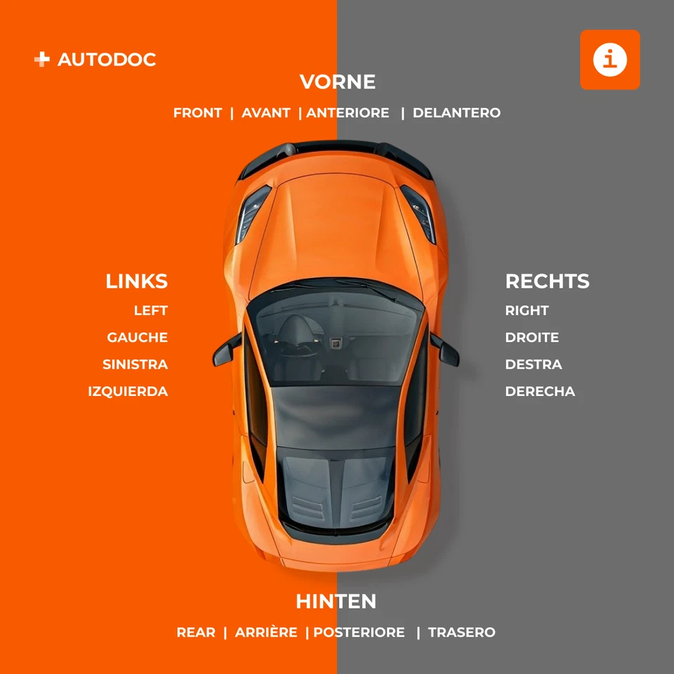 VAN WEZEL Scheinwerfer Rechts für RENAULT MEGANE II Coupé-Cabriolet (EM0/1) - Bild 3 von 4