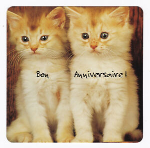 Chat Chaton Carte Postale N Ffu 0066 Bon Anniversaire Ebay