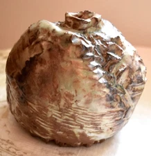 Freeform Organic Natural Rustic Earthenware Pottery Vase #9216