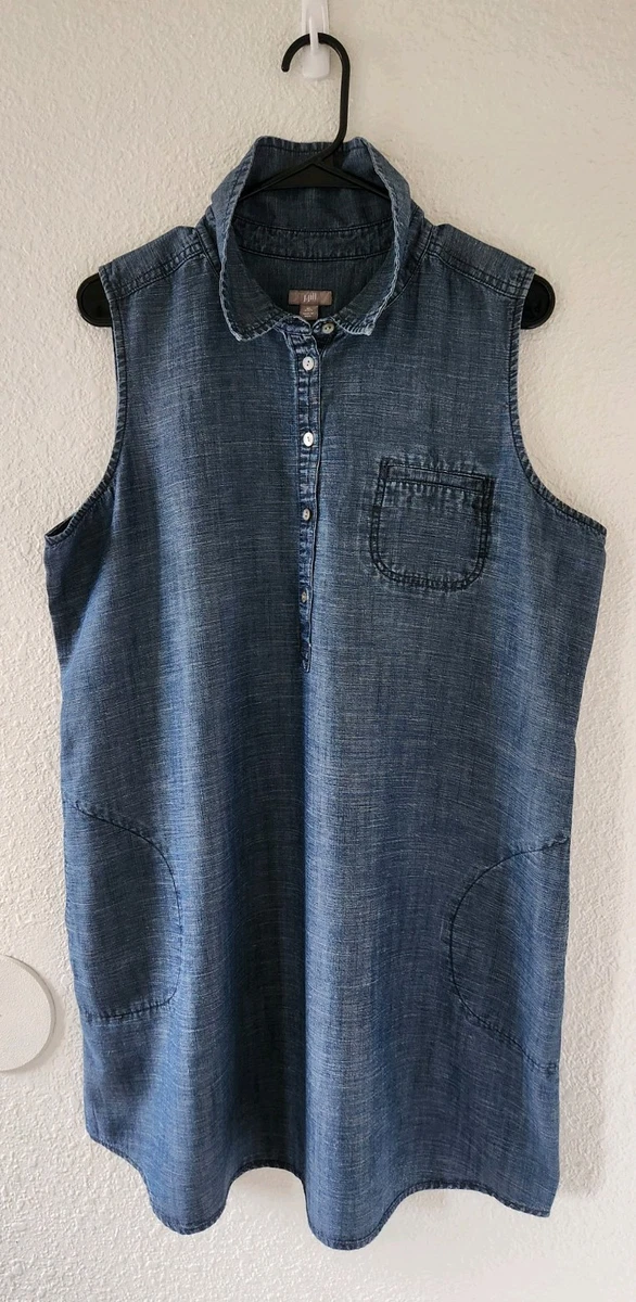 knee length dresses for ladies Arwen Denim Mini Dress Blue main image 0