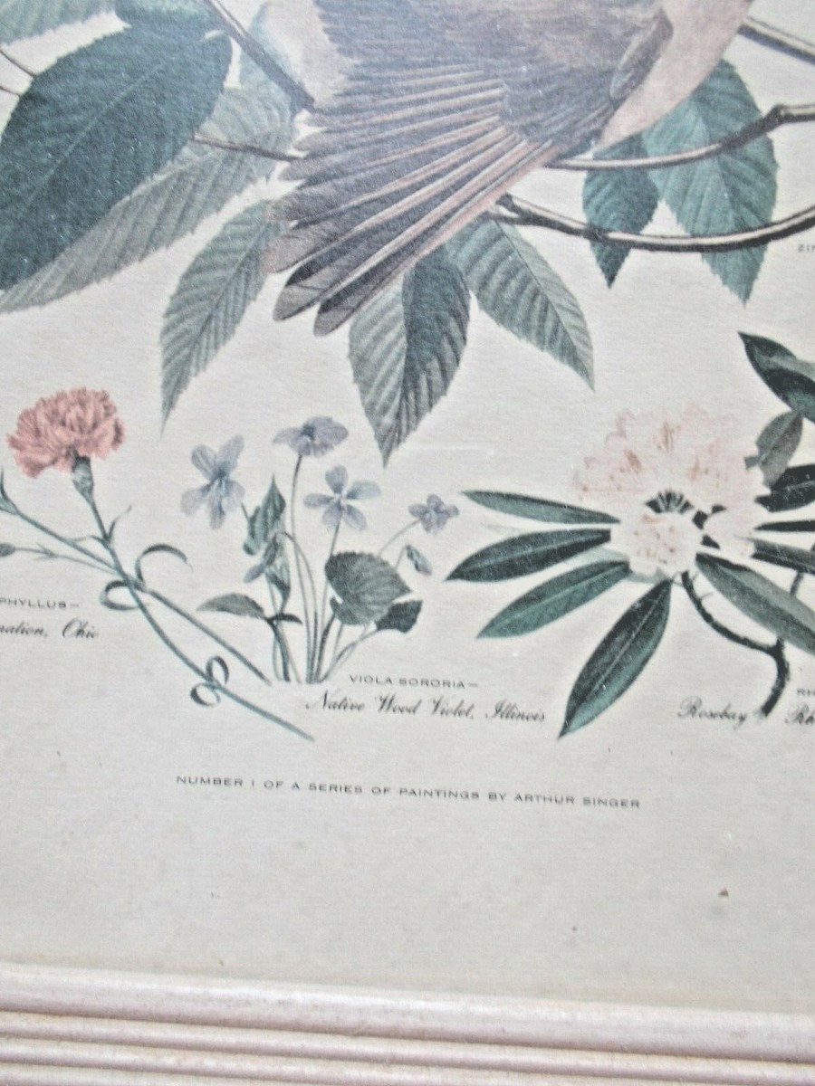Arthur Singerアーサーシンガー！フラミンゴバレット。鳥のArtist Arthur Singer Bird Prints - Etsy