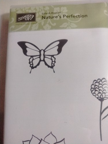 Juego de 5 estampillas Stampin' Up Nature's Perfection #139100 - Imagen 2 de 7