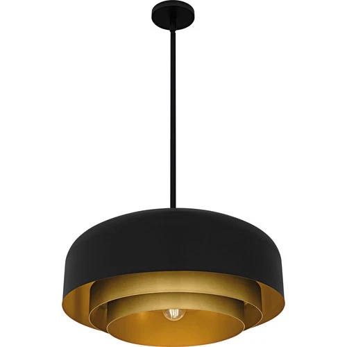 Quoizel FRK2822 Frankie 4 Light 22"W Pendant - Black - Picture 6 of 8