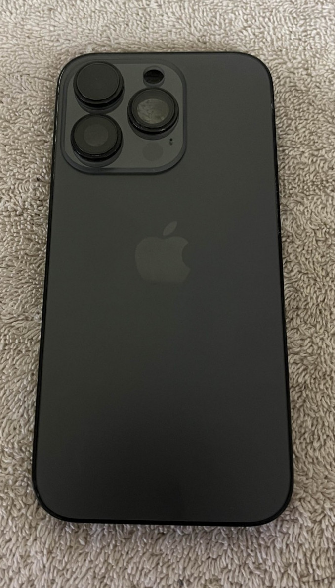 Picture 1