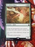 Seedborn Muse - MTG - Battlebond - BBD - NM