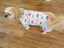 dog pajamas, dandy dinosaurs, XL for small breeds read size details 