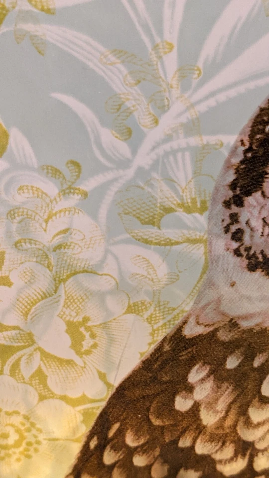 Jarrón floral y búho de vidrio soplado a mano con flecos de estudio marca Antroologie collage  Foto 2 de 4