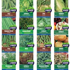 Vegetable Seeds, Herb Seeds, Fruit Seeds Cabbage Chilli Peppers Fennel Q82