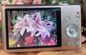 Lumix Fh5 | eBay