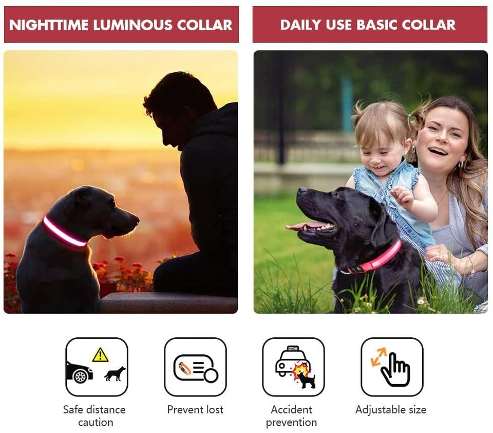 Light up LED Dog Collar Flashing USB Rechargeable Pet Safety Luminous ALL SIZES - Image 2 of 4