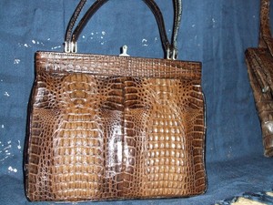 Babykrokotasche Krokodilleder Ebay