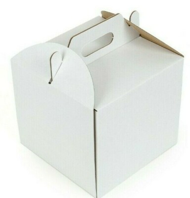 TORTENKARTON TORTENSCHACHTEL TORTENBOX 220x220x200 mm Innenmaß Weiss Stabil NEU