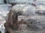 Foto 2 di 10