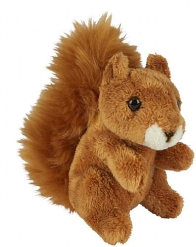 red squirrel teddy
