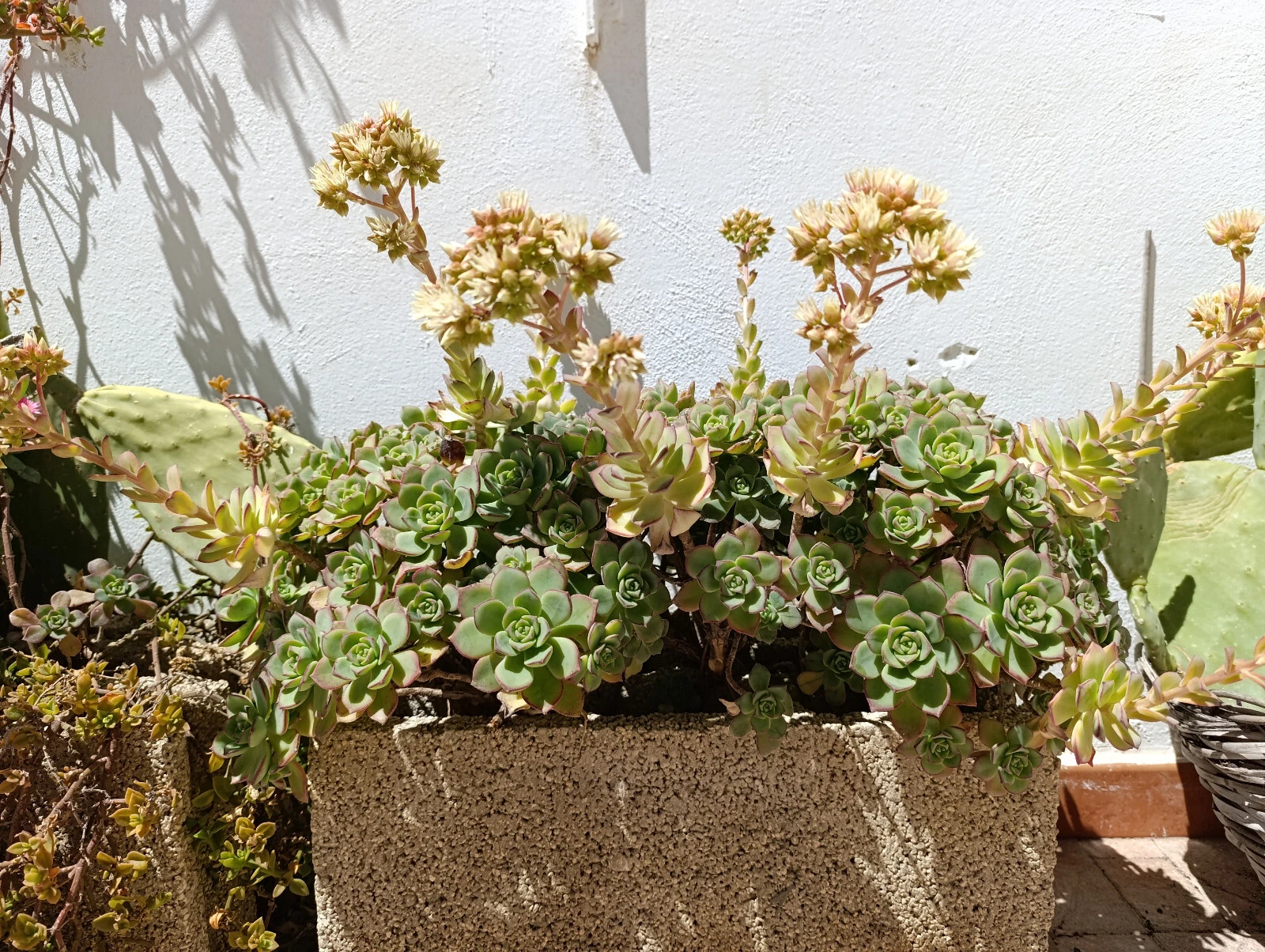 Foto 10 di 10