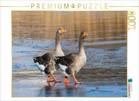 Calvendo Puzzle Two Greylag Geese | 1000 Pieces, Finished Size 25.2 × 18.9 In (6