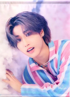 Stray Kids 5-STAR Tokyo Dome Wandteppich A3 Polyester offiziell exklusiv