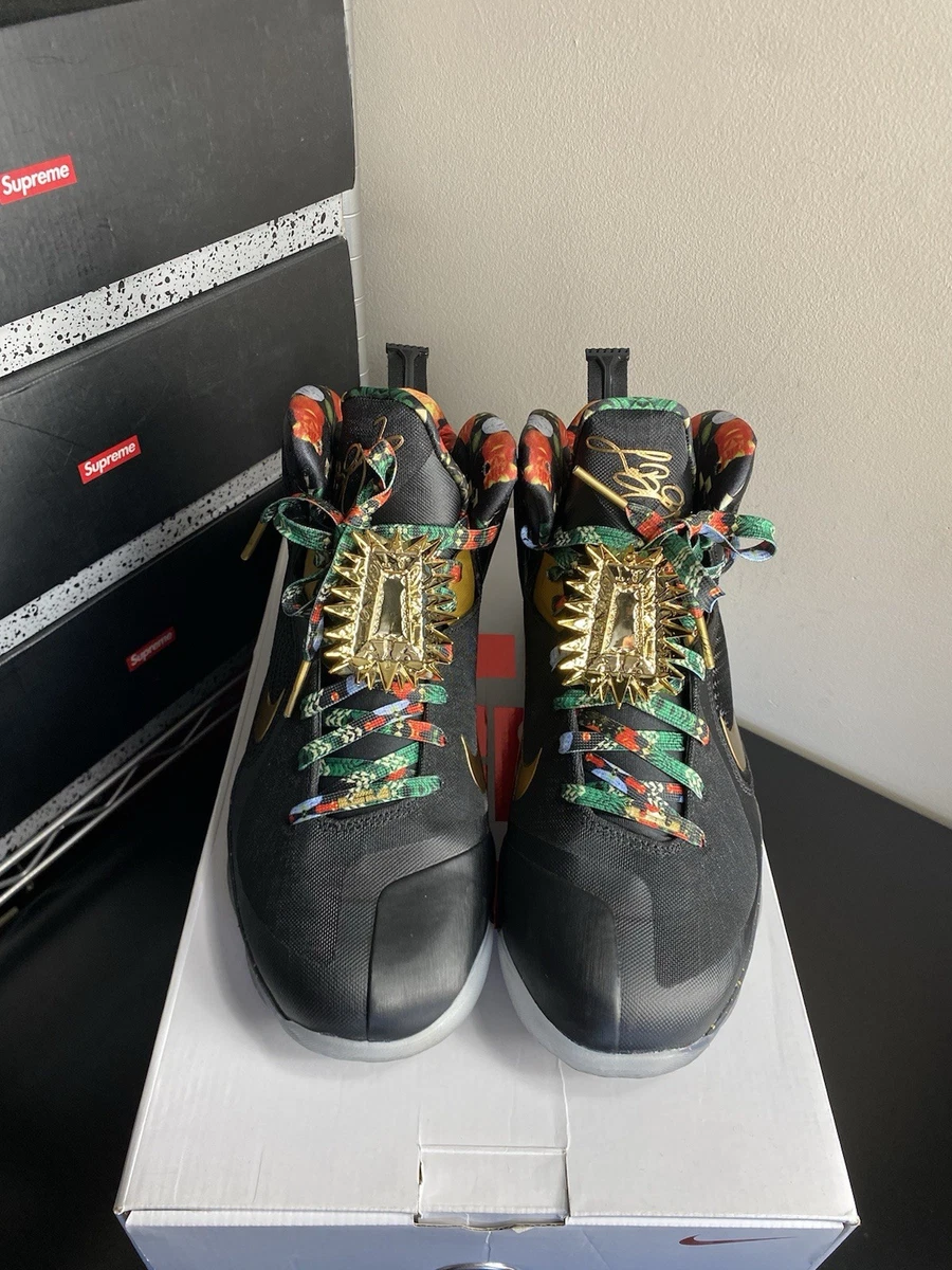Nike LeBron 9 2022 Watch The Throne for Sale | Authenticity