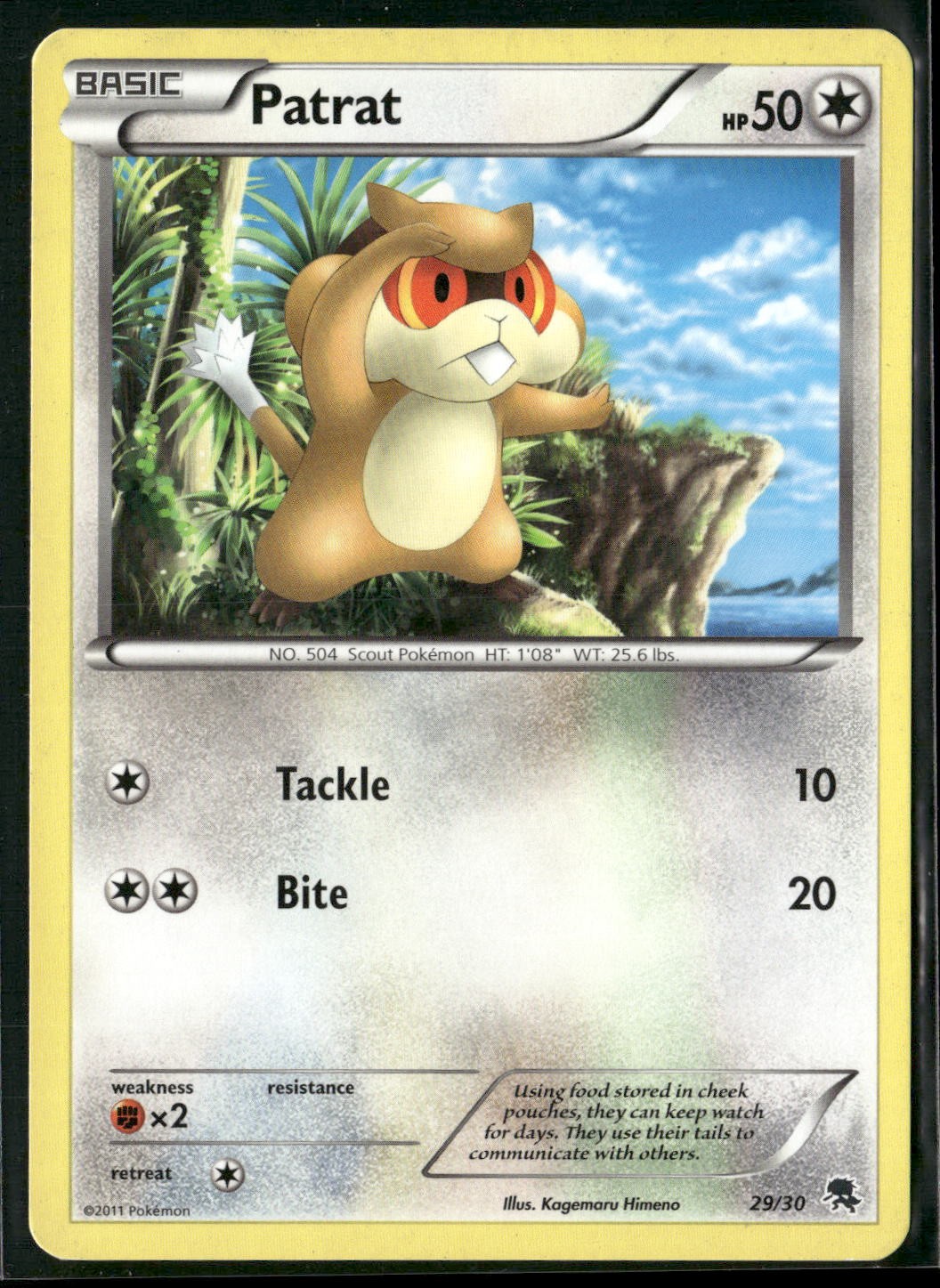 Patrat 77/114 Common Black & White Pokemon Heavily Played