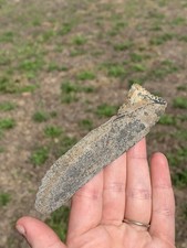 RARE Coal Mine Fossil Edestus Jaw Section With Tooth Quality Pyrite