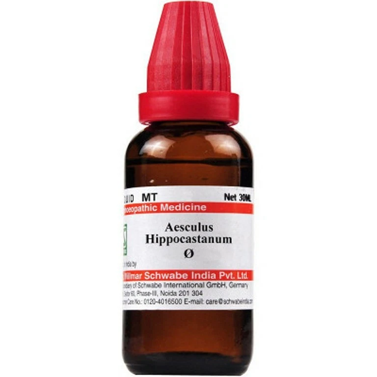 Willmar Schwabe India Aesculus Hippocastanum 1X (Q) (30ml)
