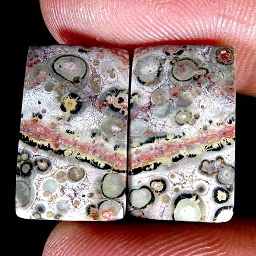 Natural Bird Eye Jasper Matched Pair Oval Pear Cushion Cab Loose Gemstone PK14 - Imagen 65 de 165