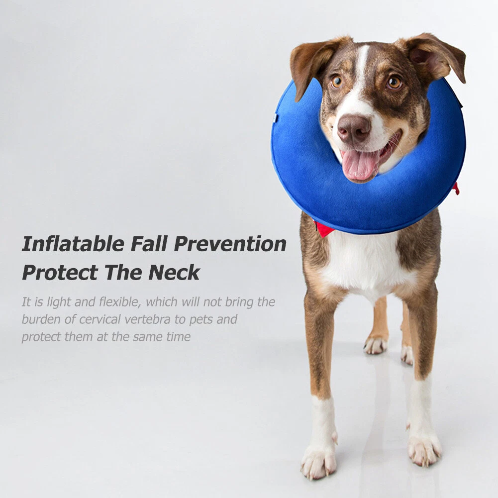 Inflatable hotsell e collar