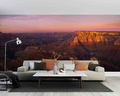 3D Nature Canyon Scenery Self-adhesive Removeable Wallpaper Wall Mural