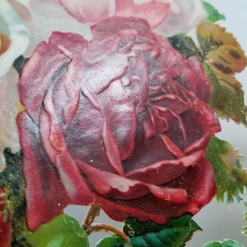 Die Cut Scrap Raphael Tuck Rose Flowers Gigantic Relief 536 Germany - Picture 10 of 14