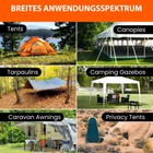 Bild 6 von 38