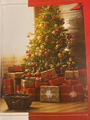 the STORY of CHRISTMAS TRADITIONS timeless to new MAGICAL THINGS special feeling - Picture 3 of 12
