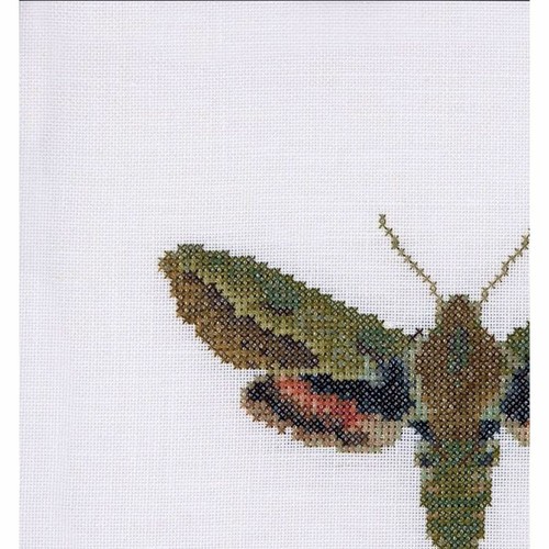 Kit A Punto Croce Papillon Euphorbe 565 Thea Gouverneur - Picture 4 of 7