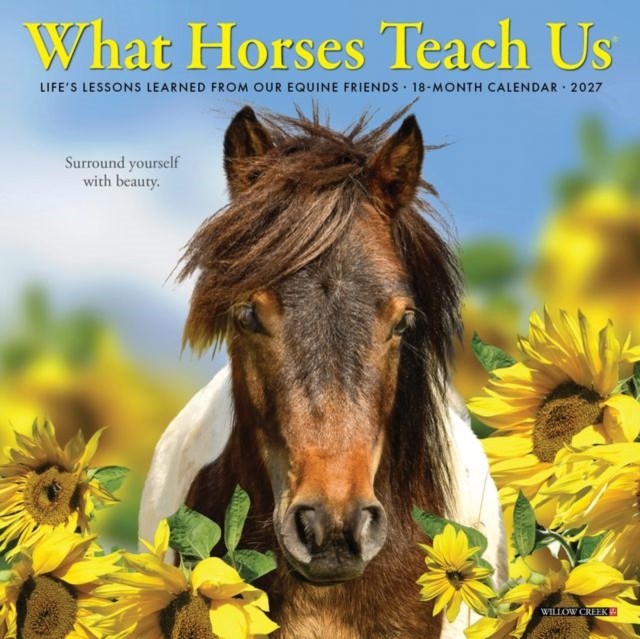 Willow Creek Press What Horses Teach Us by Creek Press Willow | PB | 2026 - Image 2