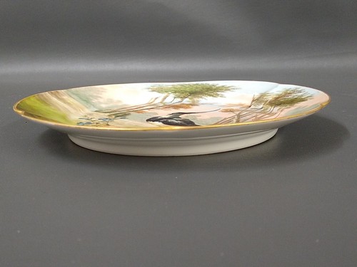 Antik Limoges Charles Field Haviland bemaltes Spiel Vogel lange Wappenplatte 9" - Bild 7 von 8