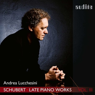 Franz Schubert Schubert: Late Piano Works - Volume 3 (CD) Album Digipak