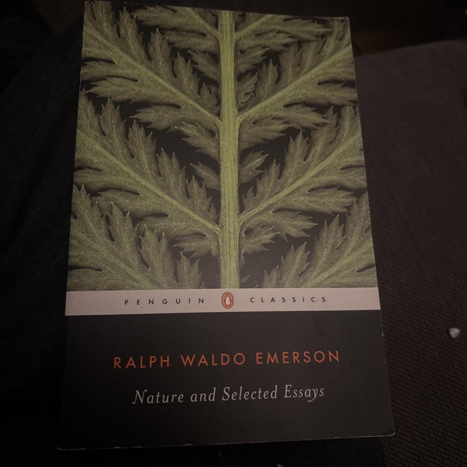 Nature and Selected Essays by Ralph Waldo. Emerson (2003, Uk-B Format Paperback)